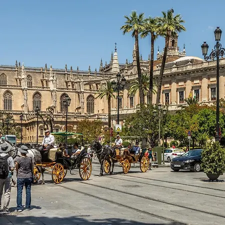 Waou Cosy Iii Cathedral Seville